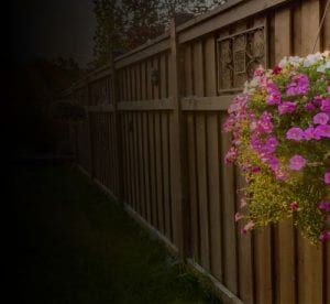 dark fence with flowers